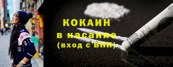 молекула духа Бородино