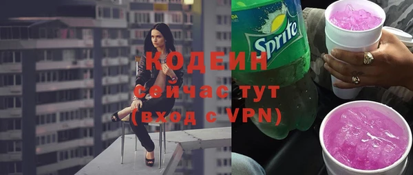 молекула духа Бородино