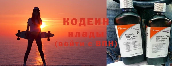 молекула духа Бородино