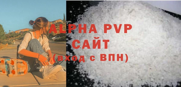 молекула духа Бородино