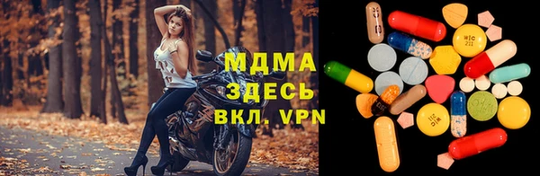 молекула духа Бородино
