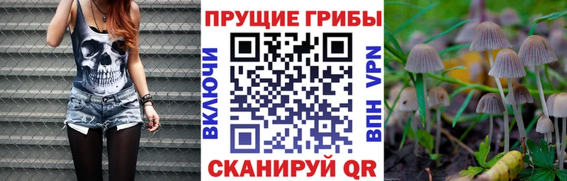 цены наркотик  Тбилисская  Галлюциногенные грибы GOLDEN TEACHER 