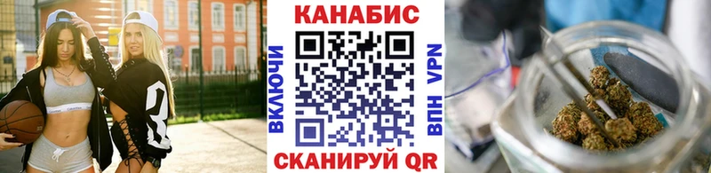 Канабис марихуана  Тбилисская 